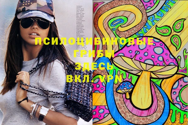 гашик Алексеевка