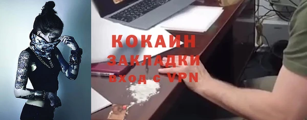 хмурый Алзамай
