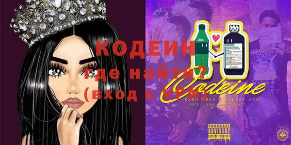 хмурый Алзамай