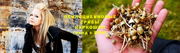 хмурый Алзамай