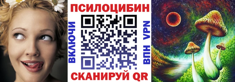 наркота  Талица  Псилоцибиновые грибы Cubensis 